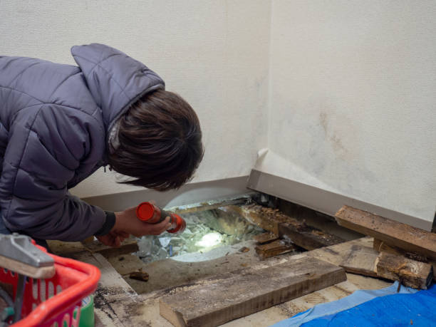 Best Biohazard Mold Removal  in Chetopa, KS