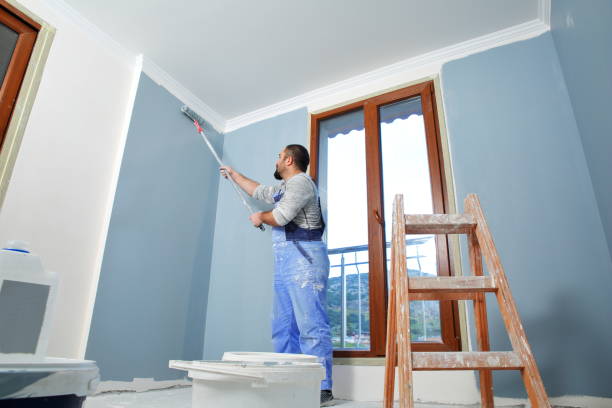 Mold Odor Removal Services in Chetopa, KS
